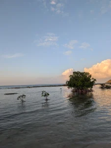 soualiga, salt, St Martin