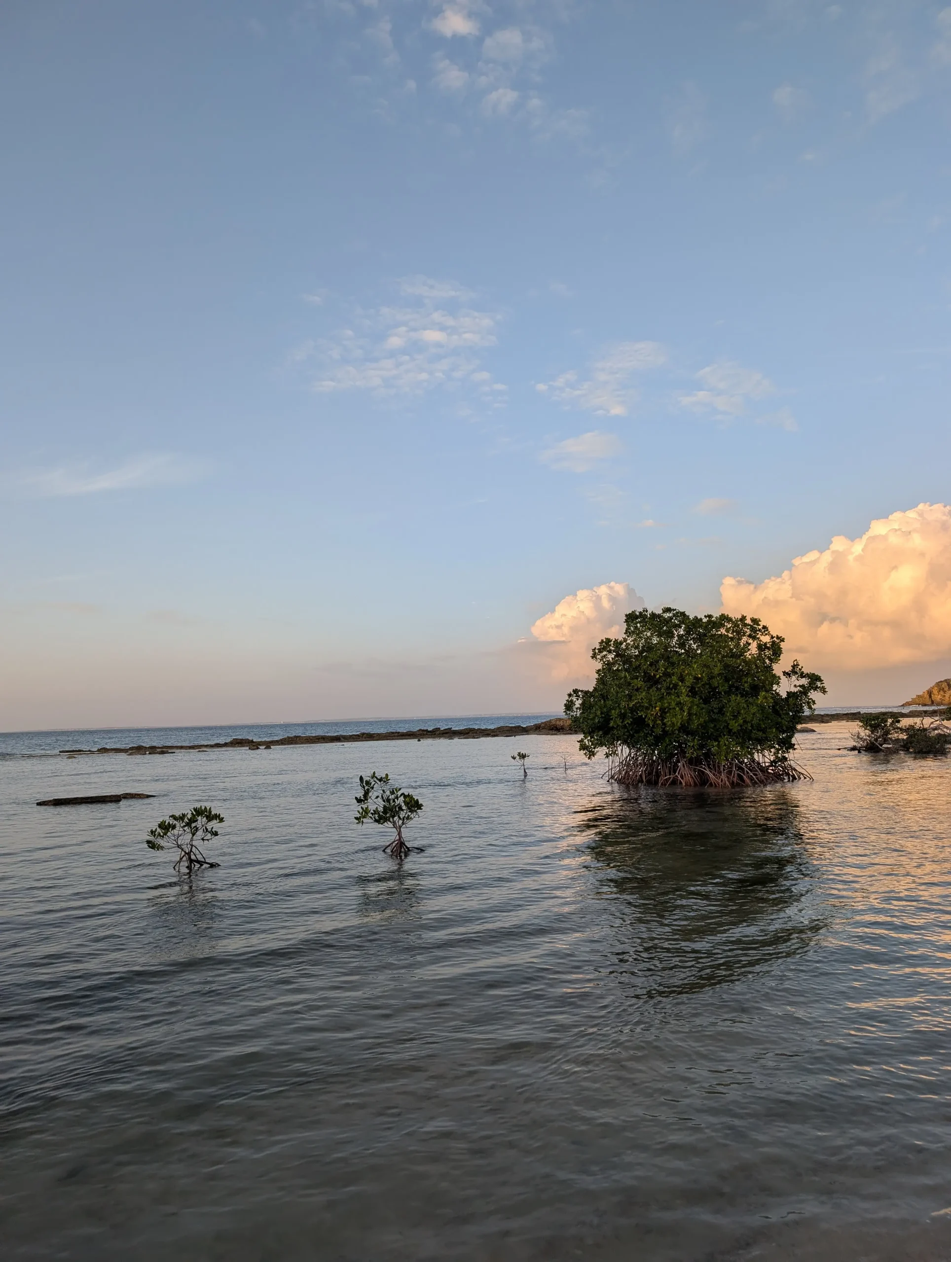 soualiga, salt, St Martin soualiga, salt, St Martin